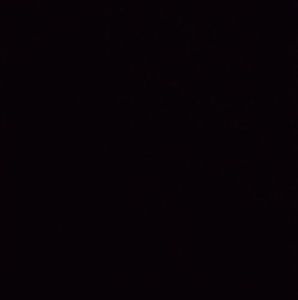 Meet your Posher, Quentin